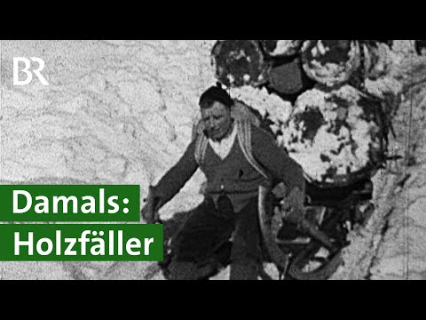 Bäume fällen im Wald: Früher eine körperlich anstrengende und gefährliche Arbeit | Unser Land | BR