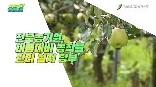 전북농기원, 태풍대비 농작물 관리 철저 당부