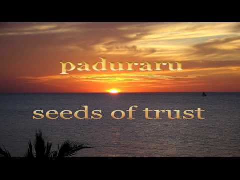 Paduraru - Seeds Of Trust (Techhouse Mix)