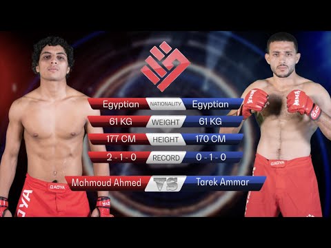 Tarek Ammar vs. Mahmoud Ahmed | FULL FIGHT | The Qage 001  #Qage001 #mma #fight #fightnight