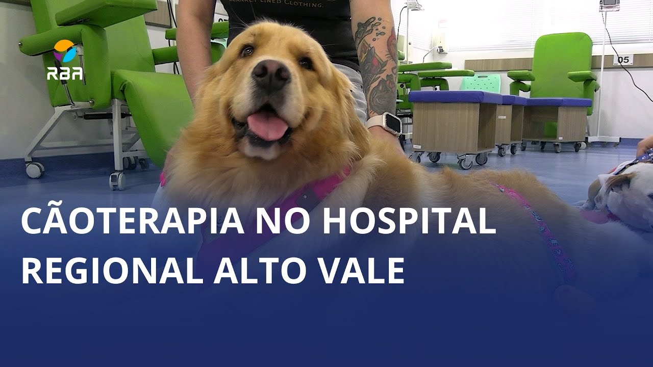 Cãoterapia no Hospital Regional 🐶