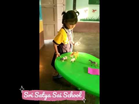 Learning Directions with Animals #Sri Satya Sai School