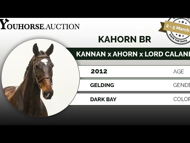 Kahorn showvideo outdoor grass