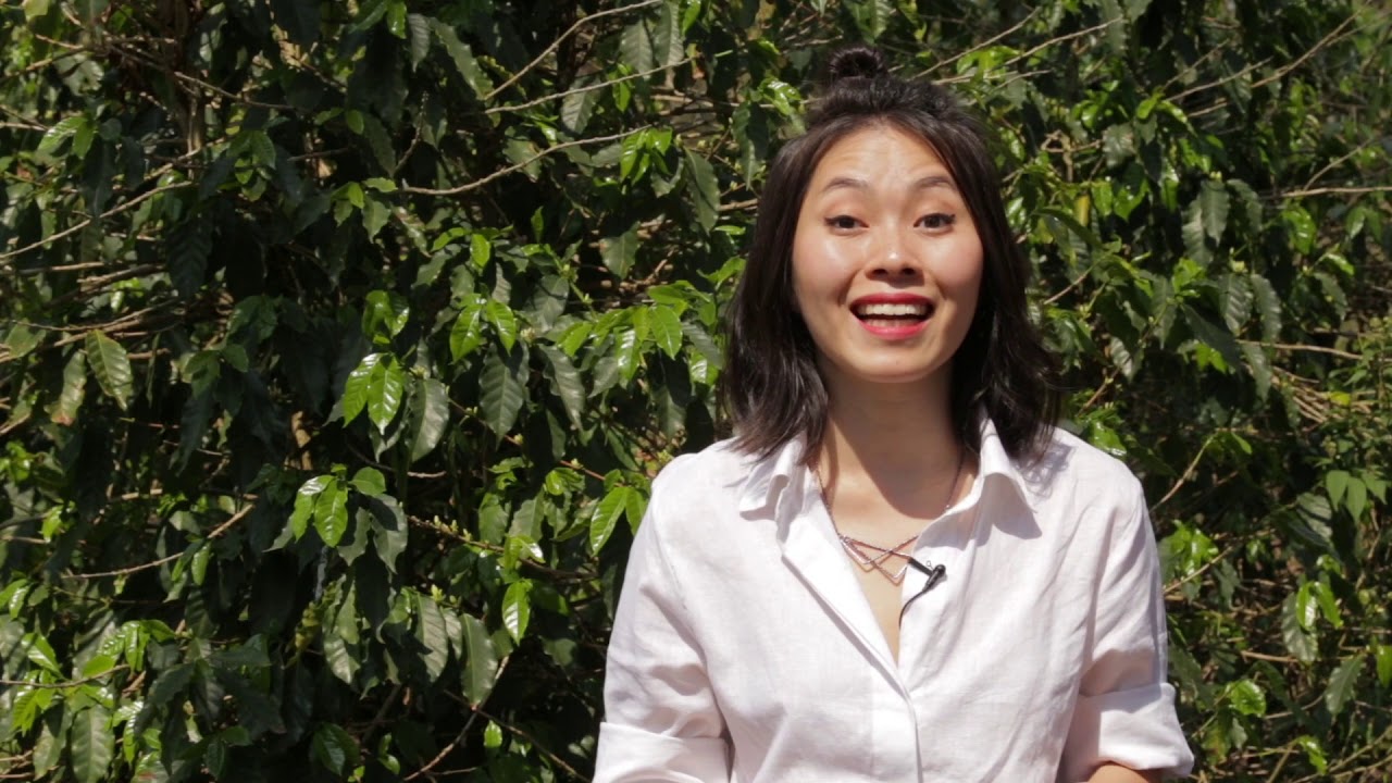 Episódio 05 - Websérie 110 Anos da Imigração Japonesa