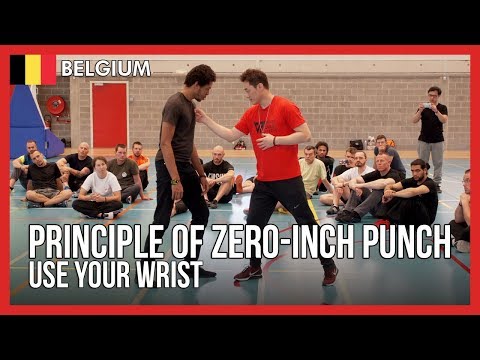 Principle of Zero-inch Punch (Use your wrist) - DK Yoo
