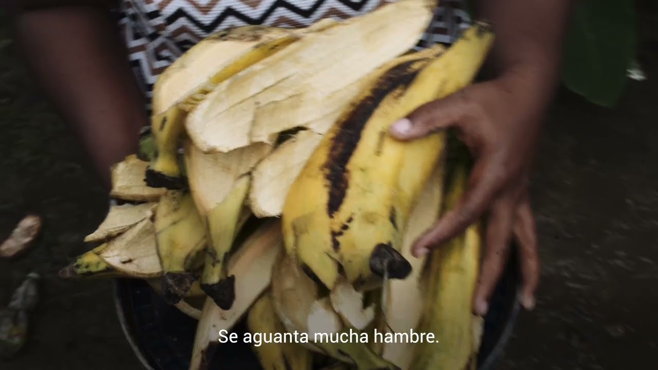 Encerrados en su propio territorio: la realidad del confinamiento en Colombia