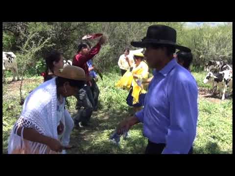 Antenor Silos - Arbolito en flor