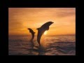 Crosby Stills & Nash - Southern Cross ...