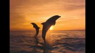 Crosby Stills &amp; Nash - Southern Cross (Remastered/lyrics)