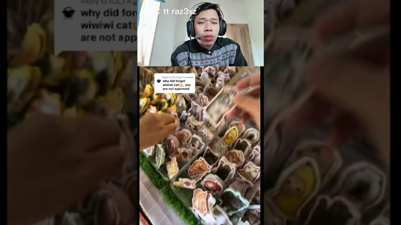 mana karakter favorit kalian stiker meme kucing