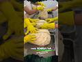 Besar Dan Montok Daging Tebal Shorts Buah Panen Sirup