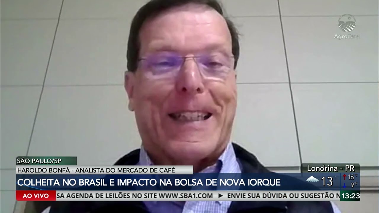 Colheita do café arábica no Brasil influencia cotações na Bolsa de Nova York