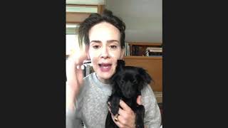 Sarah Paulson Interview ElleVet Sciences Pets In Need Project video