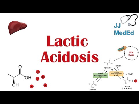 Lactic Acidosis: What is it, Causes (ex. metformin), and Subtypes A vs B