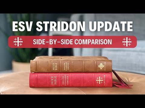 The New Schuyler ESV Stridon Is Here — Is It Better Than the First?