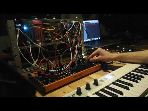 Intense Modular Ambient Jam - uBraids, Dreadbox, Behringer, Doepfer, 4ms, Korg