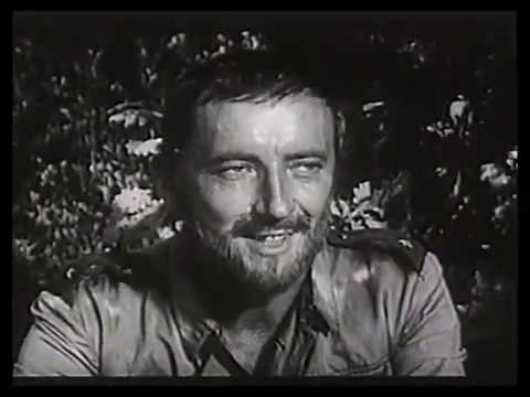 Barwy walki 1964 film PRL