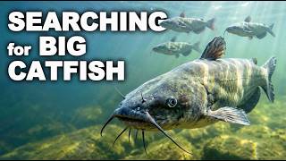 Simple Changes That Catch More Catfish