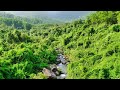 Silent Hiking in the Jungle of Danang Vietnam