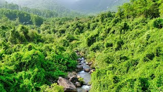 Silent Hiking in the Jungle of Danang Vietnam