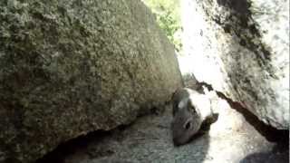 preview picture of video 'Funny Squirrel Close up #02 - at Vernal Fall, Yosemite Valley - GoPro Hero2 Full HD'