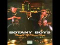 BOTANY BOYS Feat RONNIE SPENCER Ups N Downs