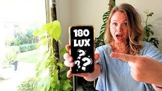 Why Bright Indirect Light Is SO CONFUSING!