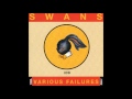 Love Will Tear Us Apart (Jarboe Version) by Swans