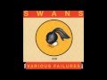 Love Will Tear Us Apart (Jarboe Version) by Swans ...