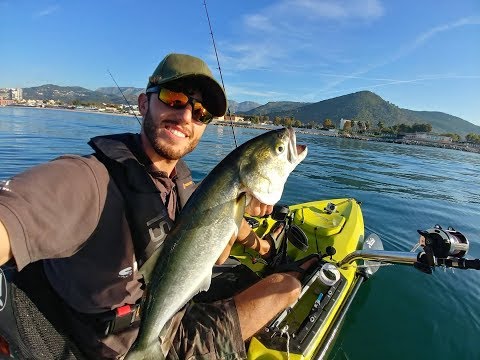 Pesci serra a traina col vivo
