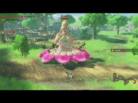 Hyrule Warriors: Age of Calamity - Great Fairy Cotera Highlight