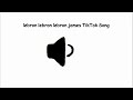 Lebron Lebron Lebron James TikTok Song