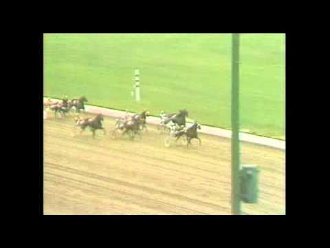 Niatross Over the Fence