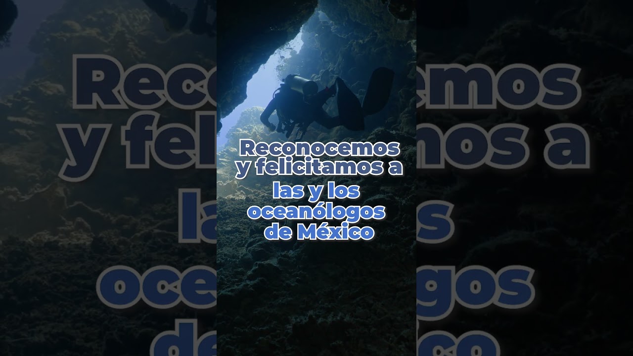 Día del oceanólogo y la oceanóloga