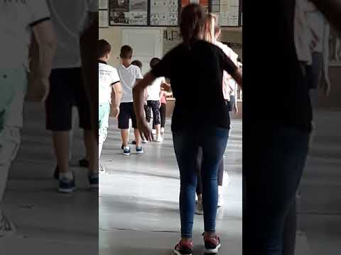 Boban Rajović s ljubavlju - Latice od ruža (Dragana & Milica Remix)