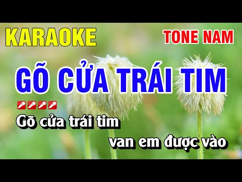 Karaoke Gõ Cửa Trái Tim Tone Nam Nhạc Sống Phối Mới | Nguyễn Linh