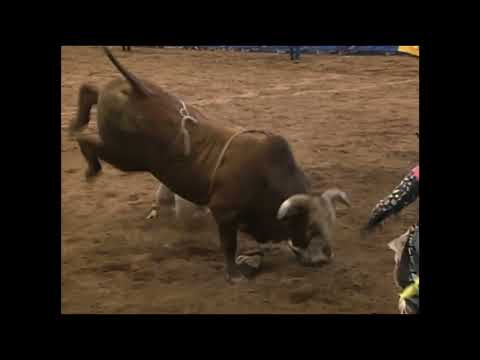 Red Wolf bucks Bubba Dunn - 95 PBR Rancho Murieta