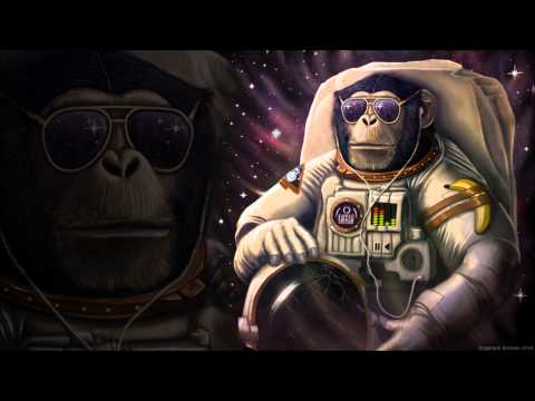 Jangaramongara   All Monkeys