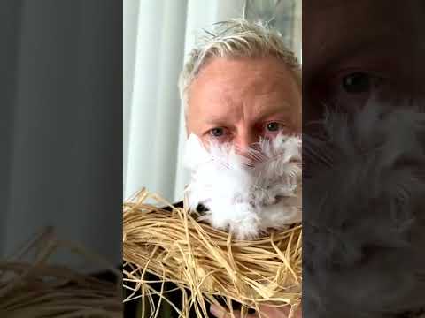 very funny #cute #pet #dog