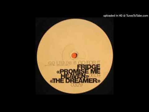 Fridge - The Dreamer