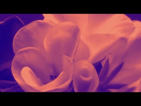 UNSECRET X SAINT MIDDLETON X PYPR - EVERYTHING IS CHANGING [OFFICIAL AUDIO]