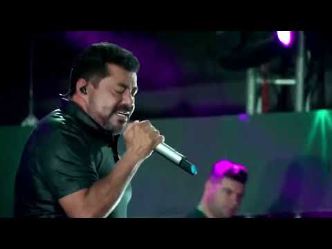 Tudo de Novo - Gatinha Manhosa