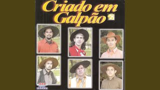 Ao Trote Noite a Dentro