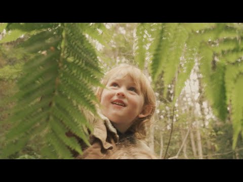 Hollow Coves - Blessings (Official Music Video)