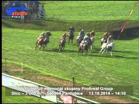 12.10.2014 - 5. dostih - Poplerův memoriál skupiny Profireal Group