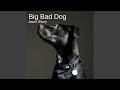 Big Bad Dog
