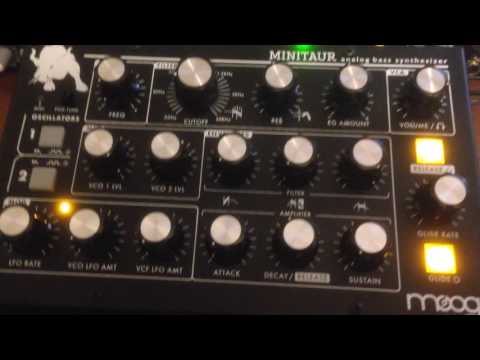 Oldrich Sic Jr. / Minitaur / Moog