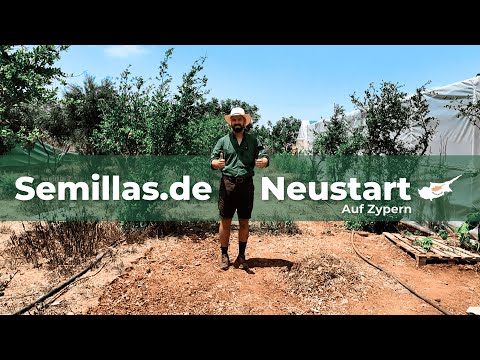 Semillas.de - Der Neustart 2025 auf Zypern