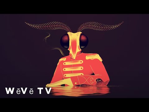 Animation | Into the Flame