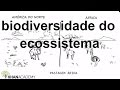 Vídeo para vidio sobre biodiversidade